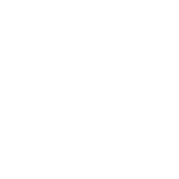 DLF Logo