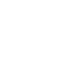 Embassy Logo