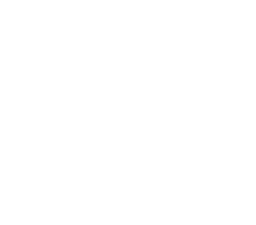 RMZ Logo